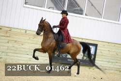 22BUCK_01462 proof