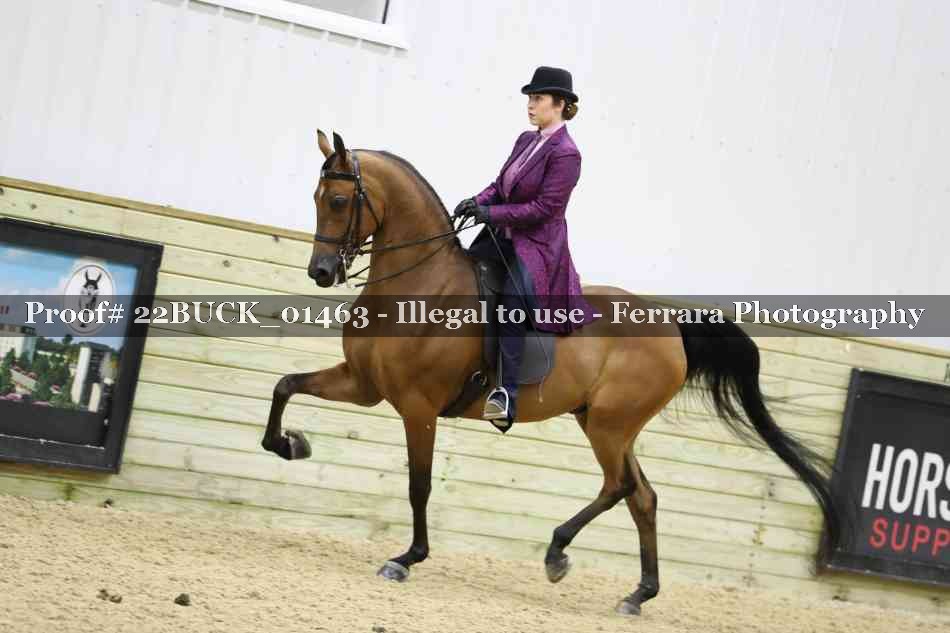 Proof 22BUCK_01463