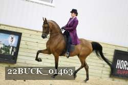 22BUCK_01463 proof