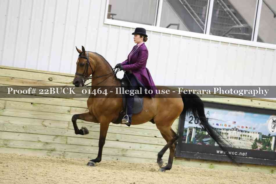 Proof 22BUCK_01464