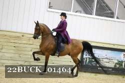 22BUCK_01464 proof