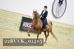 22BUCK_01465 proof