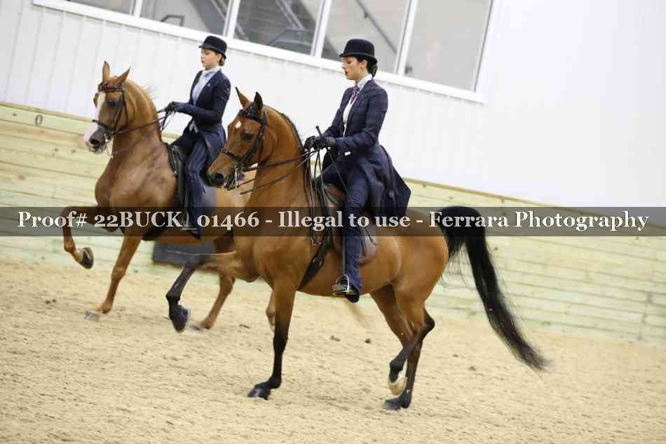 Proof 22BUCK_01466
