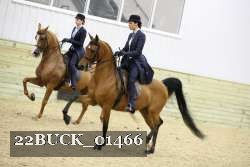 22BUCK_01466 proof
