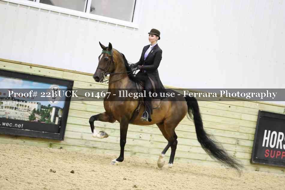 Proof 22BUCK_01467