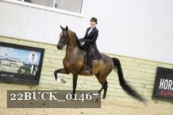 22BUCK_01467 proof