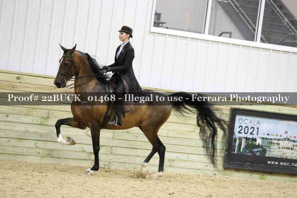 Proof 22BUCK_01468