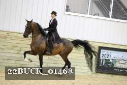 22BUCK_01468 proof