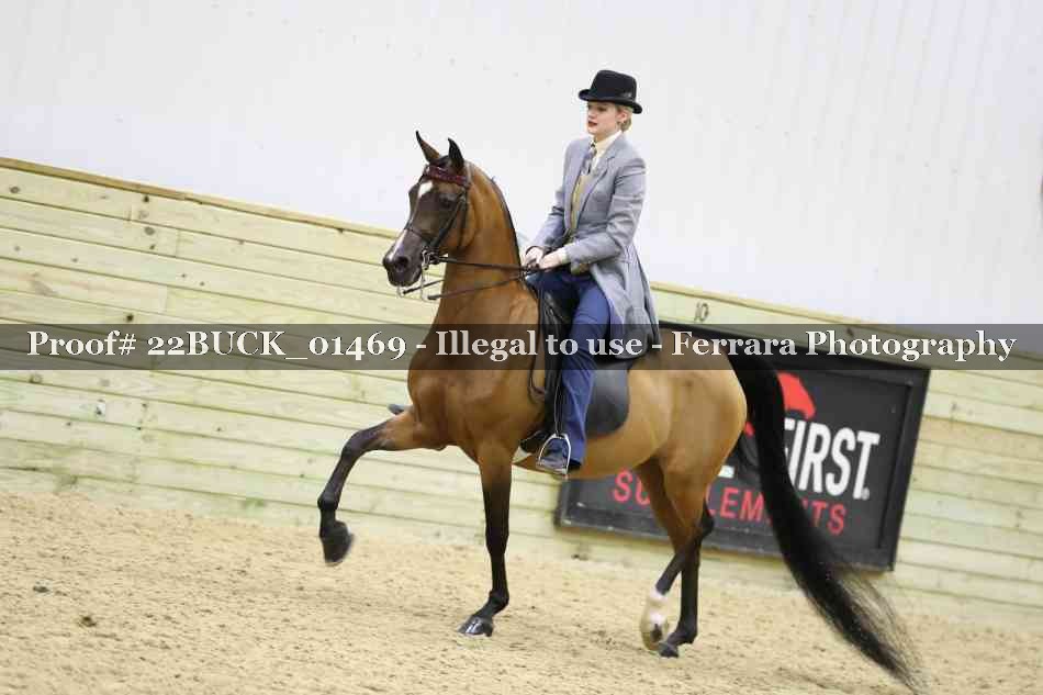 Proof 22BUCK_01469