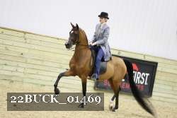 22BUCK_01469 proof