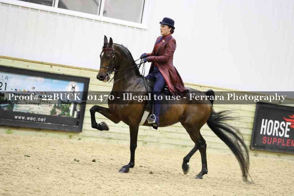Proof 22BUCK_01470