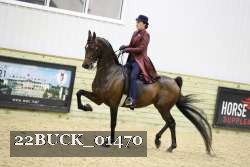 22BUCK_01470 proof