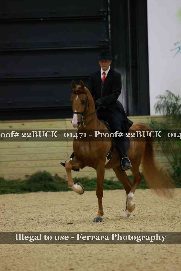 Proof 22BUCK_01471