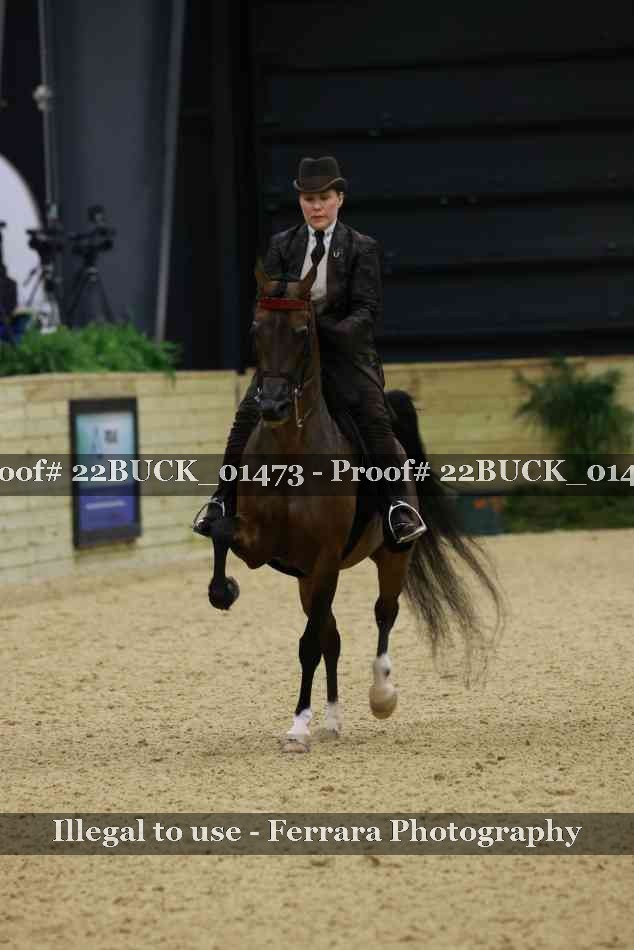 Proof 22BUCK_01473