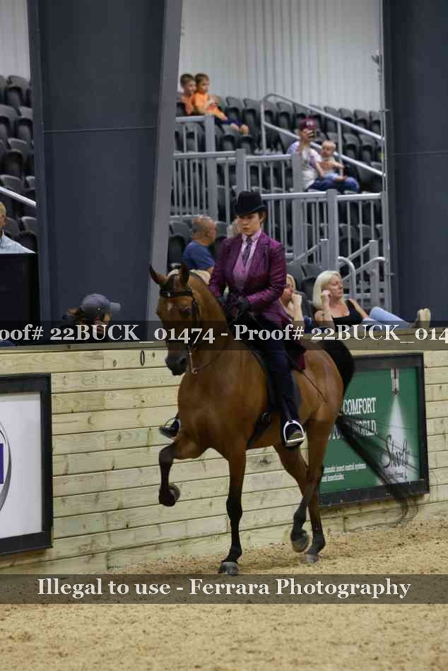 Proof 22BUCK_01474