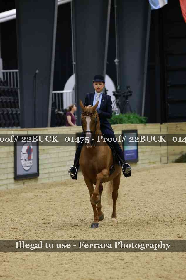 Proof 22BUCK_01475