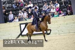 22BUCK_01477 proof