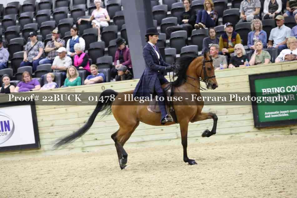 Proof 22BUCK_01478