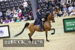 22BUCK_01478 proof