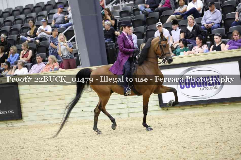 Proof 22BUCK_01479