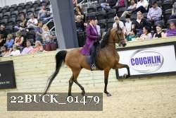 22BUCK_01479 proof