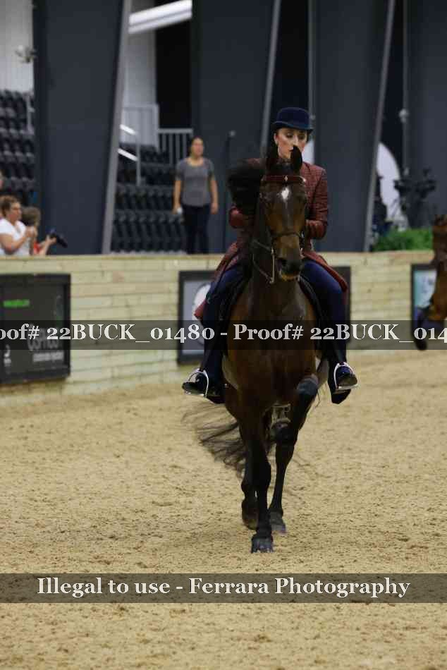 Proof 22BUCK_01480