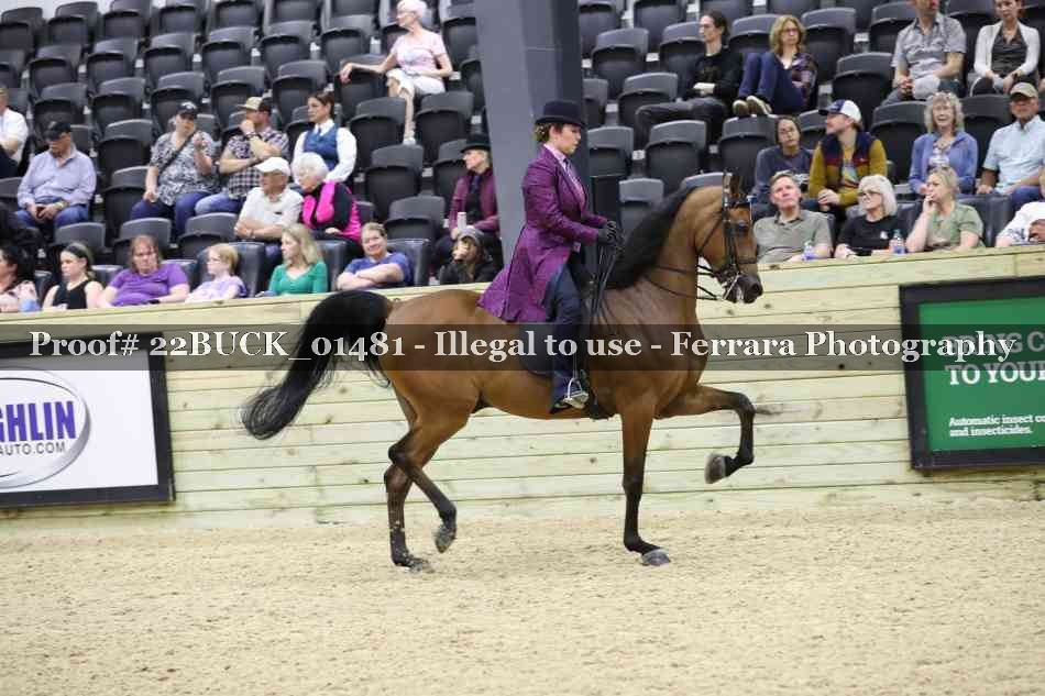 Proof 22BUCK_01481