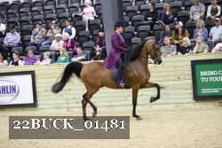 22BUCK_01481 proof