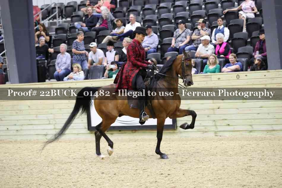 Proof 22BUCK_01482