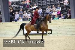 22BUCK_01482 proof