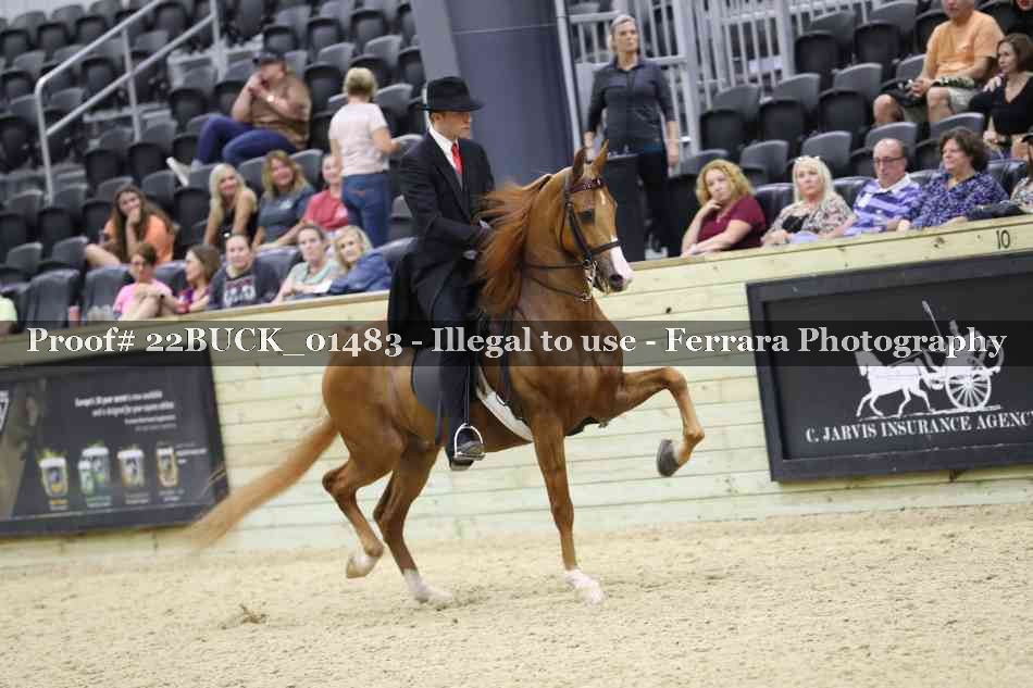 Proof 22BUCK_01483