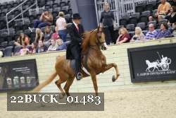 22BUCK_01483 proof