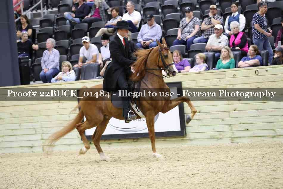 Proof 22BUCK_01484