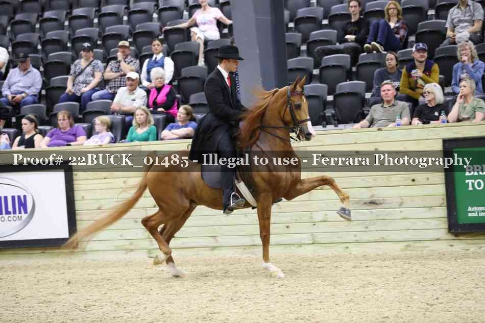 Proof 22BUCK_01485