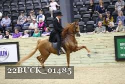 22BUCK_01485 proof