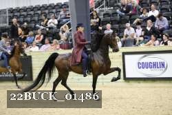 22BUCK_01486 proof
