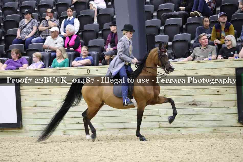 Proof 22BUCK_01487