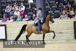 22BUCK_01487 proof