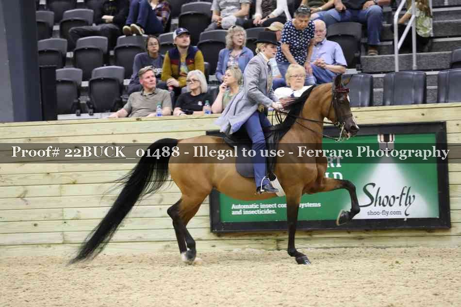 Proof 22BUCK_01488