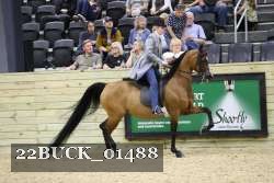 22BUCK_01488 proof