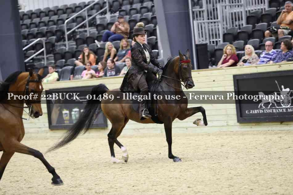 Proof 22BUCK_01489