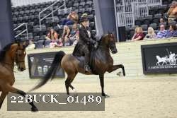 22BUCK_01489 proof