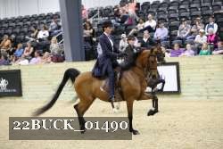 22BUCK_01490 proof