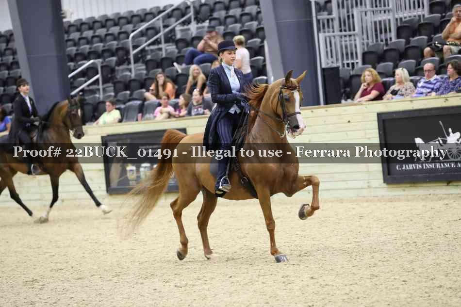 Proof 22BUCK_01491