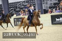 22BUCK_01491 proof