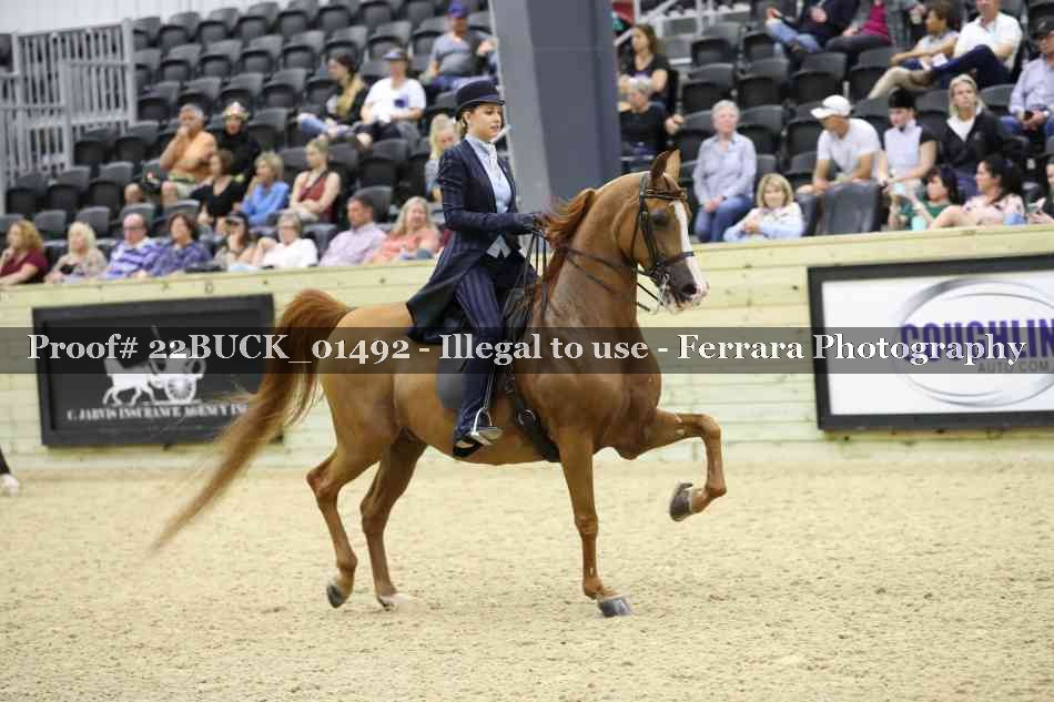 Proof 22BUCK_01492