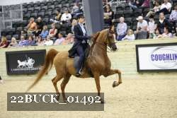 22BUCK_01492 proof