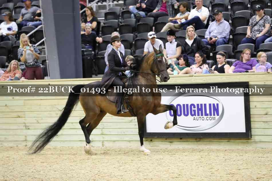 Proof 22BUCK_01493
