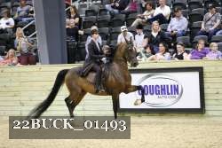 22BUCK_01493 proof
