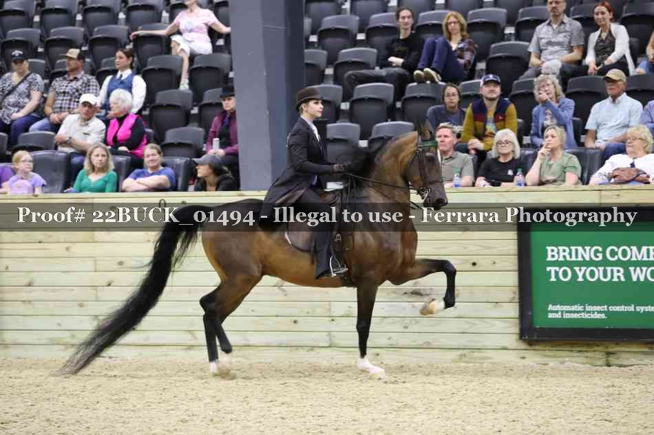 Proof 22BUCK_01494